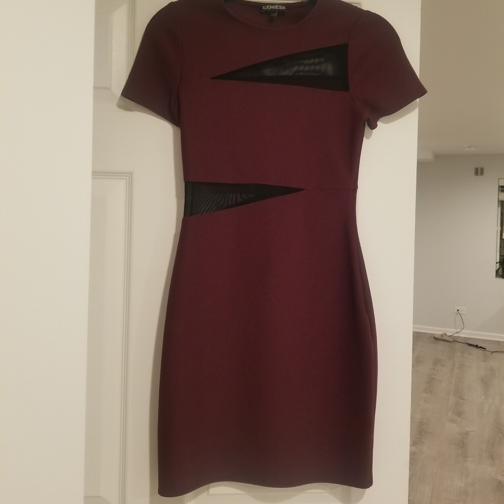 Express Dress - Picture 4 of 10